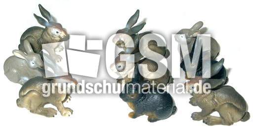 Hasen3+6.jpg